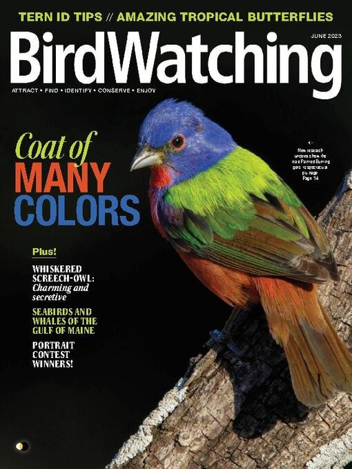 Title details for BirdWatching by Madavor Media, LLC - Available